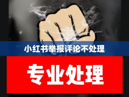 小红书举报评论不处理