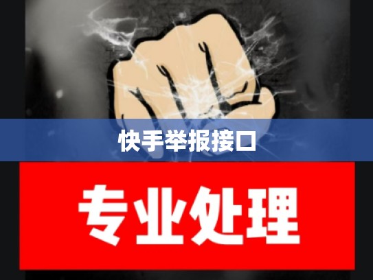 快手举报接口