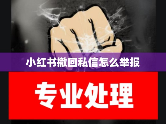 小红书撤回私信怎么举报