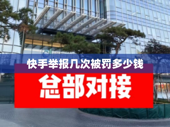 快手举报几次被罚多少钱