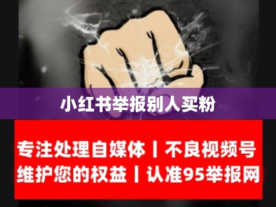 小红书举报别人买粉