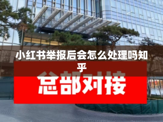 小红书举报后会怎么处理吗知乎