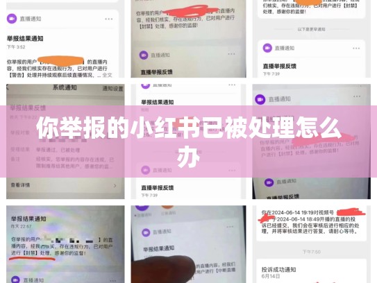 你举报的小红书已被处理怎么办