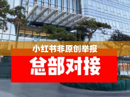 小红书非原创举报