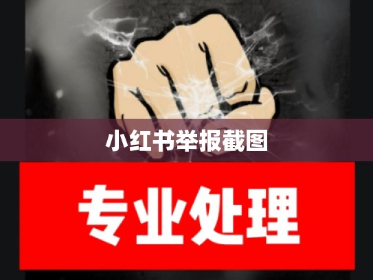 小红书举报截图