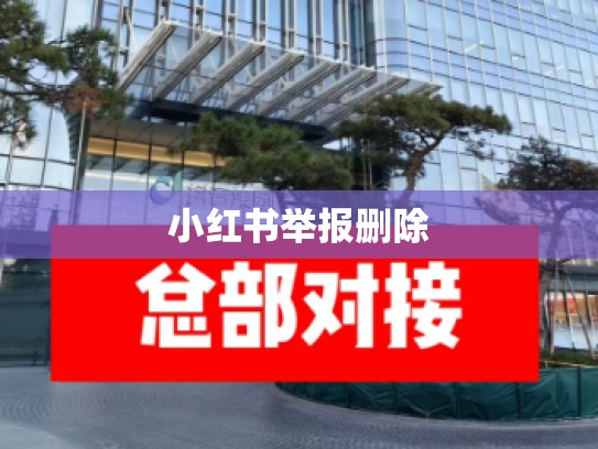 小红书举报删除