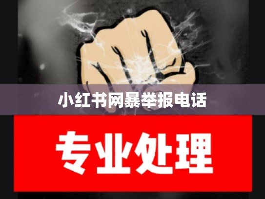 小红书网暴举报电话