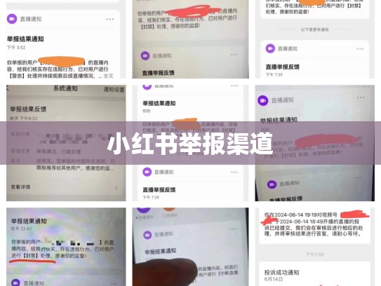 小红书举报渠道