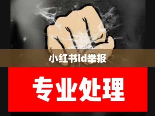 小红书id举报