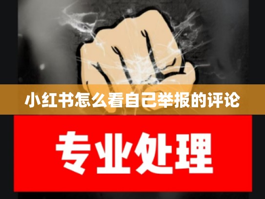 小红书怎么看自己举报的评论