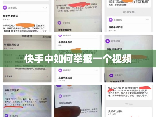 快手中如何举报一个视频