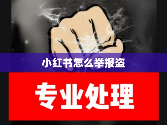 小红书怎么举报盗