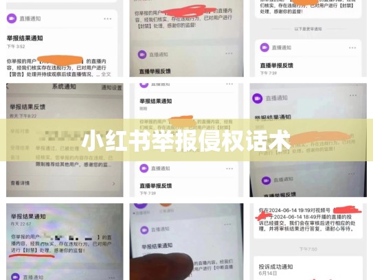 小红书举报侵权话术