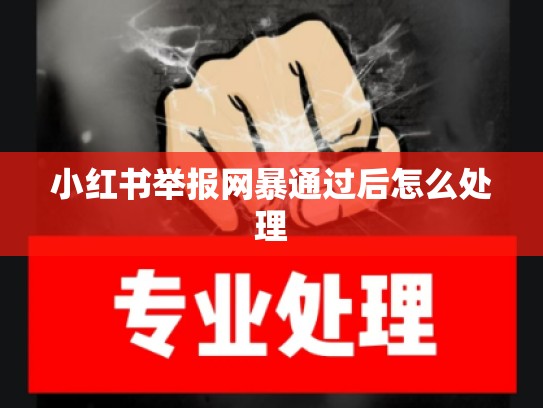 小红书举报网暴通过后怎么处理