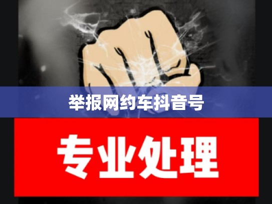 举报网约车抖音号