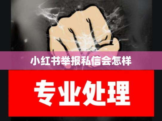 小红书举报私信会怎样