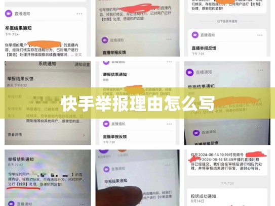 快手举报理由怎么写