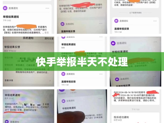 快手举报半天不处理