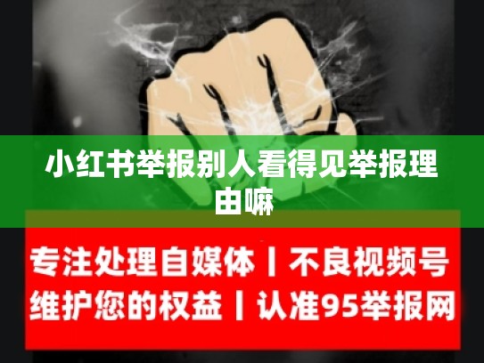 小红书举报别人看得见举报理由嘛