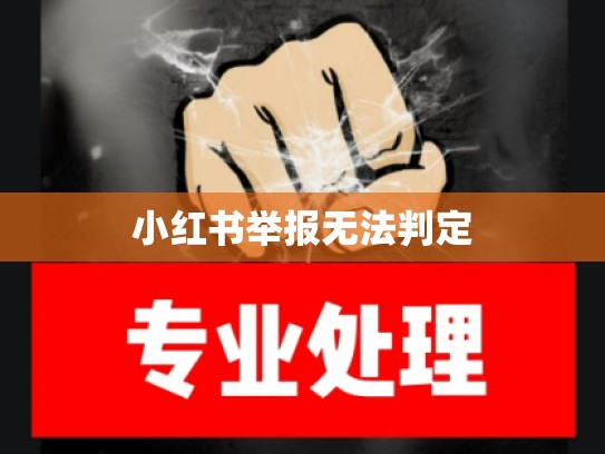 小红书举报无法判定