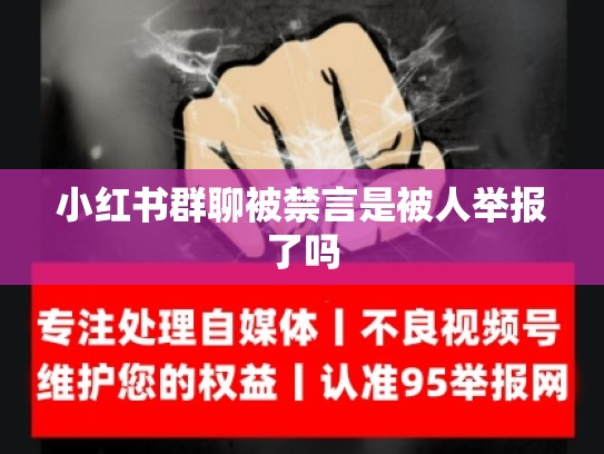 小红书群聊被禁言是被人举报了吗