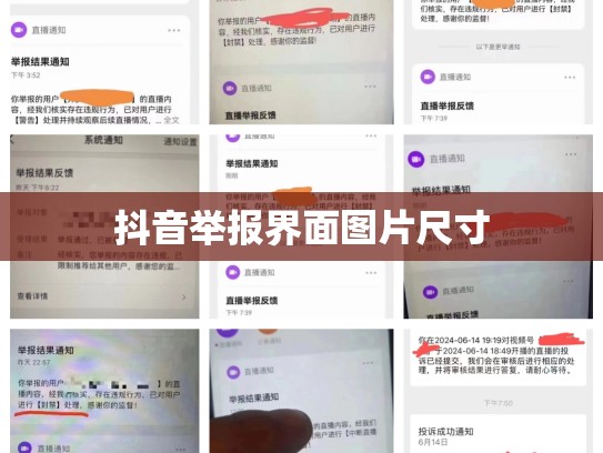 抖音举报界面图片尺寸