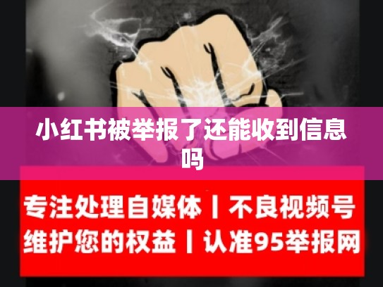 小红书被举报了还能收到信息吗