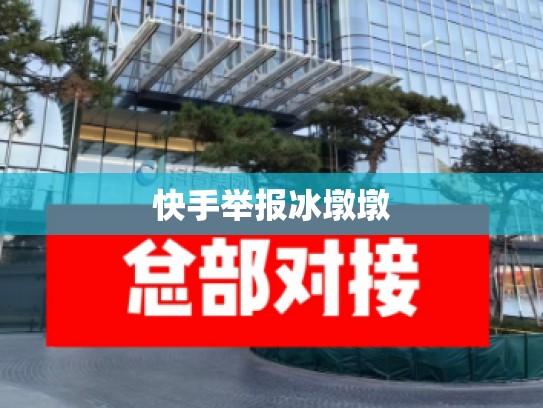 快手举报冰墩墩