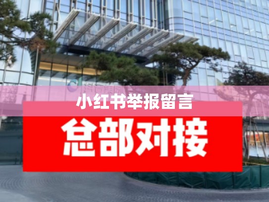 小红书举报留言