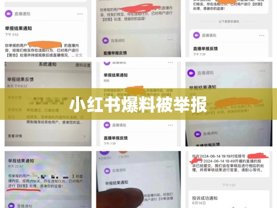 小红书爆料被举报