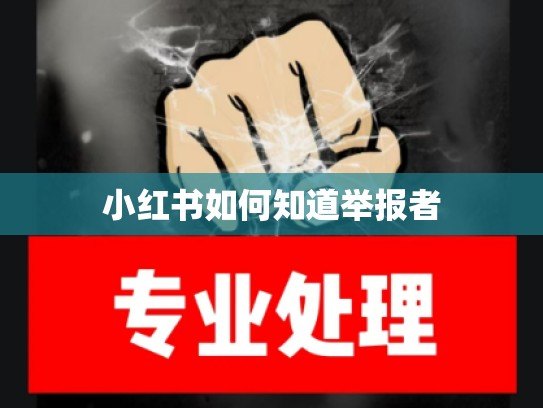小红书如何知道举报者