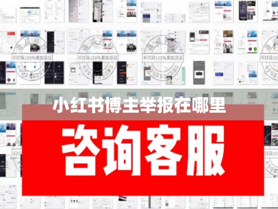 小红书博主举报在哪里