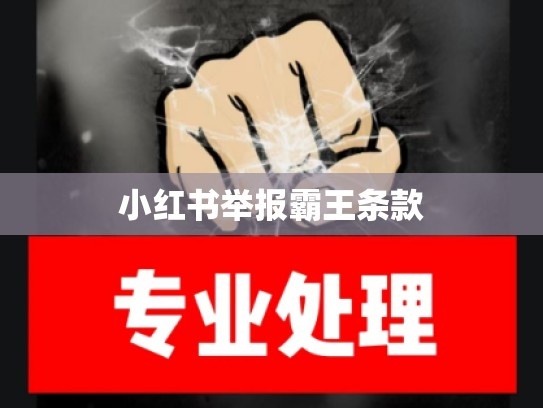 小红书举报霸王条款