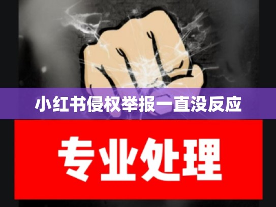 小红书侵权举报一直没反应