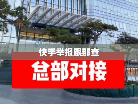 快手举报跟那查