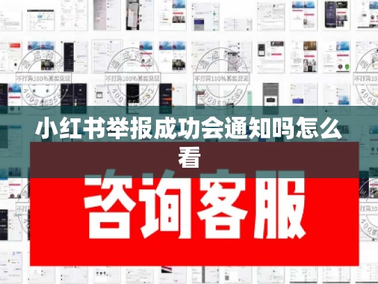 小红书举报成功会通知吗怎么看