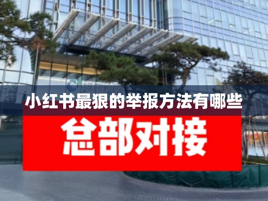 小红书最狠的举报方法有哪些