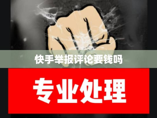 快手举报评论要钱吗