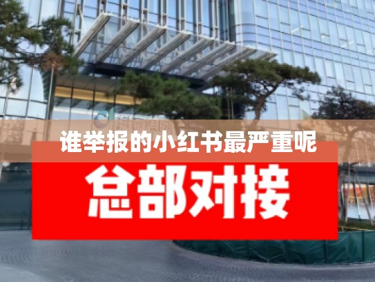 谁举报的小红书最严重呢