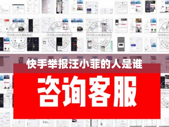 快手举报汪小菲的人是谁
