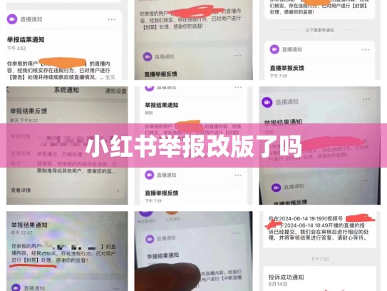 小红书举报改版了吗