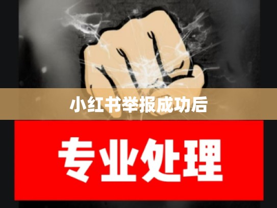 小红书举报成功后