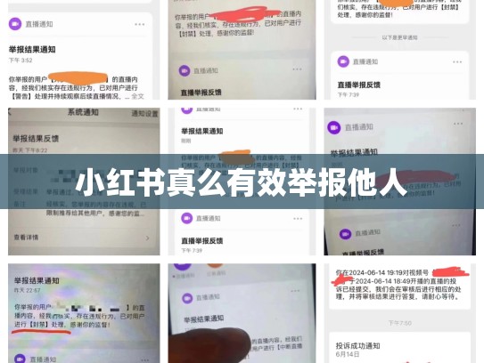 小红书真么有效举报他人
