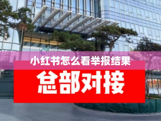 小红书怎么看举报结果