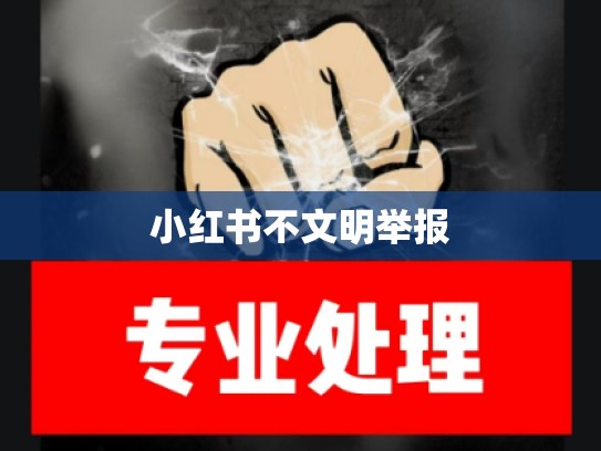 小红书不文明举报