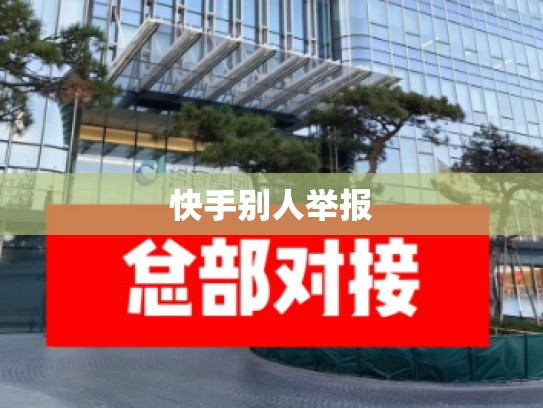 快手别人举报