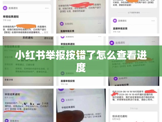小红书举报按错了怎么查看进度