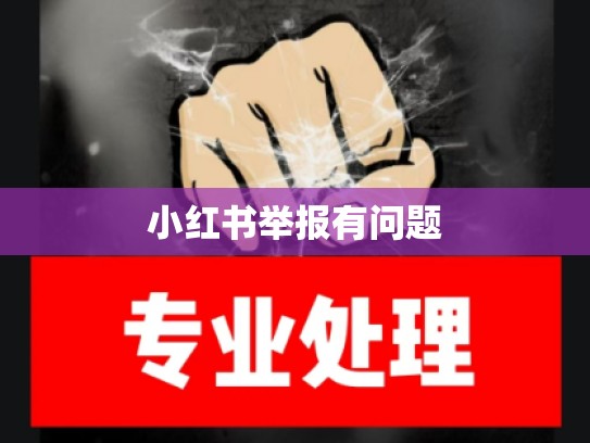 小红书举报有问题