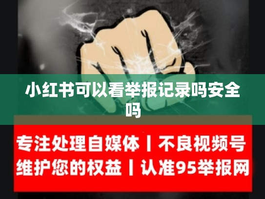 小红书可以看举报记录吗安全吗