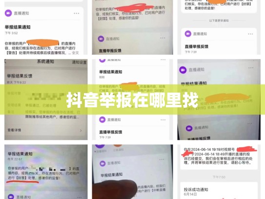 抖音举报在哪里找